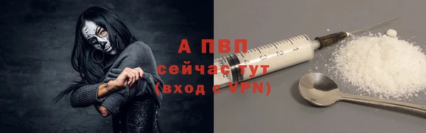 прущие грибы Покачи