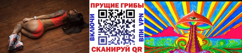 Галлюциногенные грибы Magic Shrooms  как найти наркотики  Грозный 