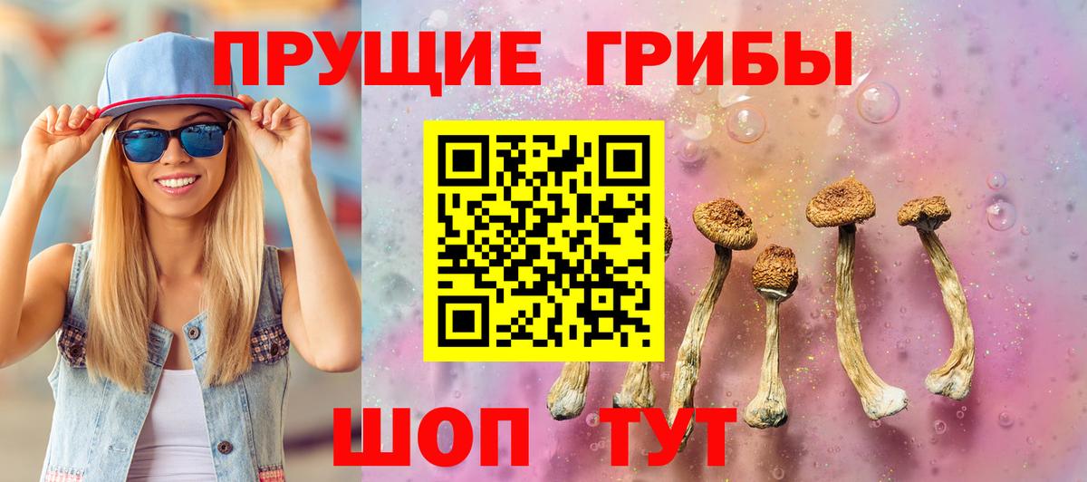 Псилоцибиновые грибы прущие грибы Грозный