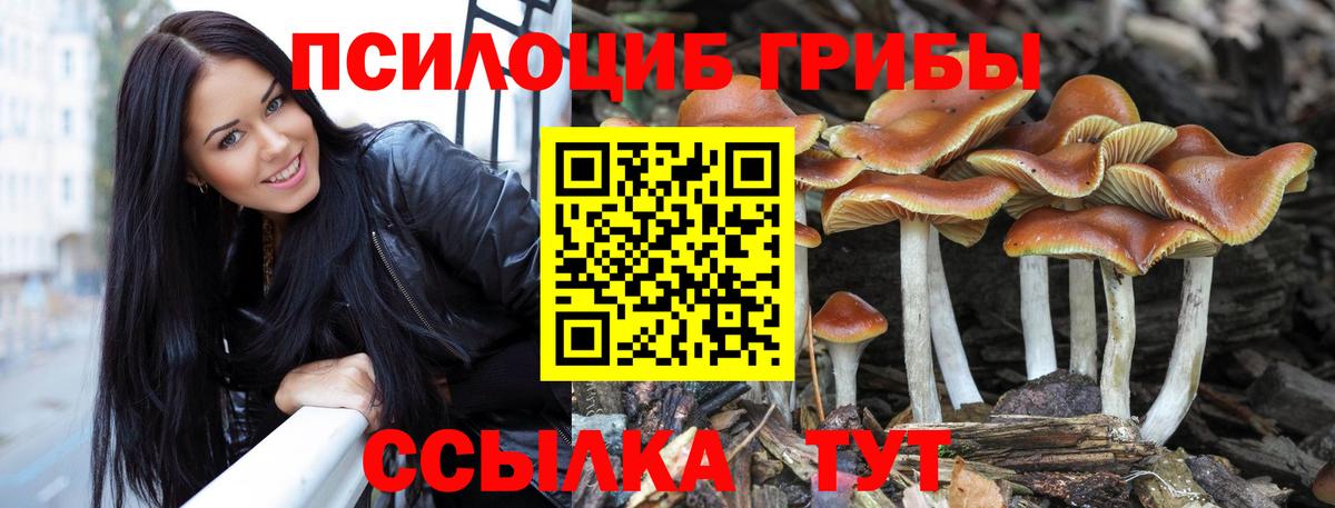 Псилоцибиновые грибы MAGIC MUSHROOMS Грозный