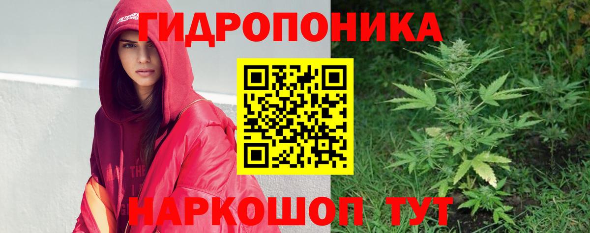 Бошки Шишки Bruce Banner  Вход с VPN  Бошки марихуана ГИДРОПОН  Каннабис план  Грозный 