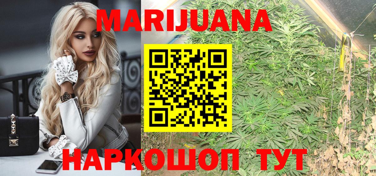 Канабис семена Грозный